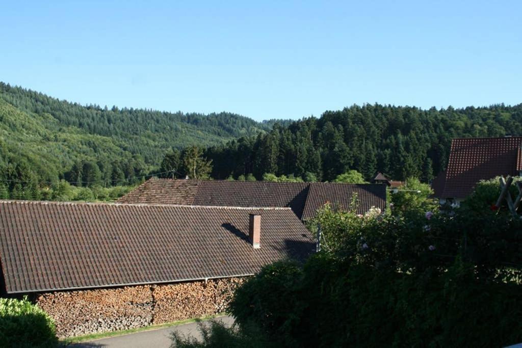 Ferienwohnung Hoehner 겐넨바흐 외부 사진